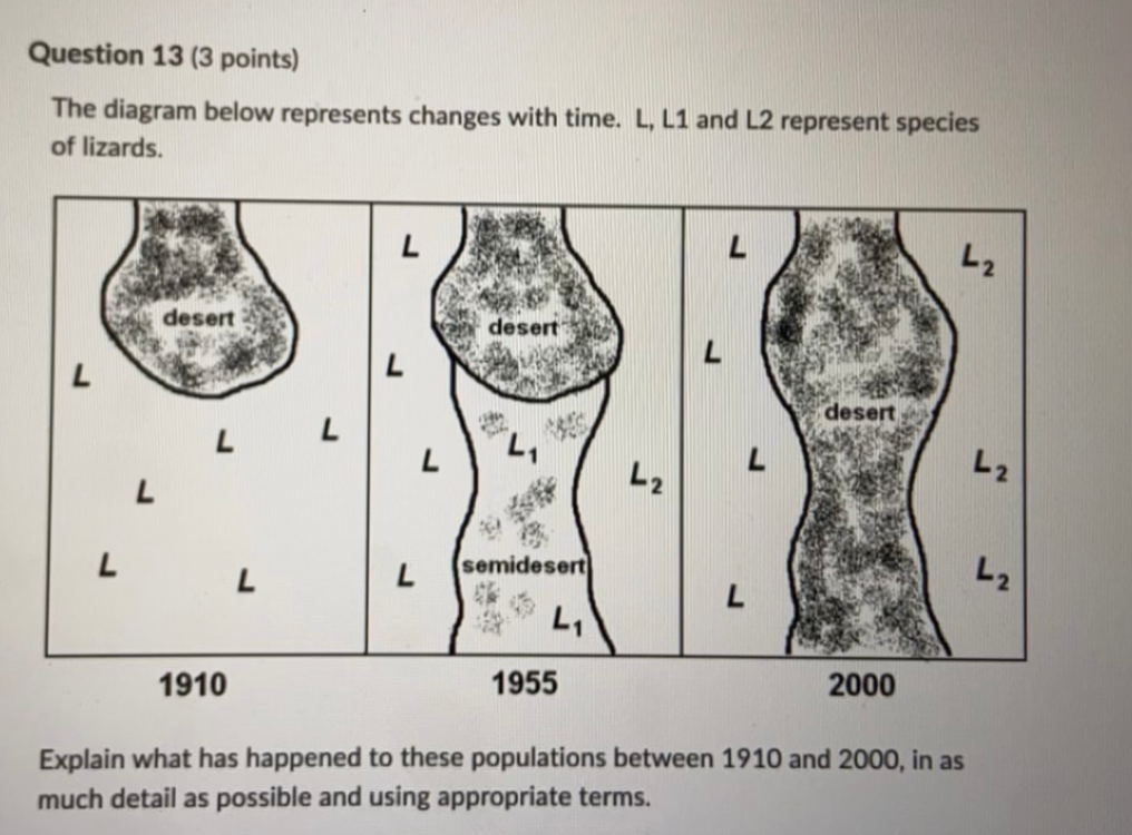 Question 13 3 Points The Diagram Below Represents Changes With Time L L1 And L2 Represent Species Of Lizards L L D 1