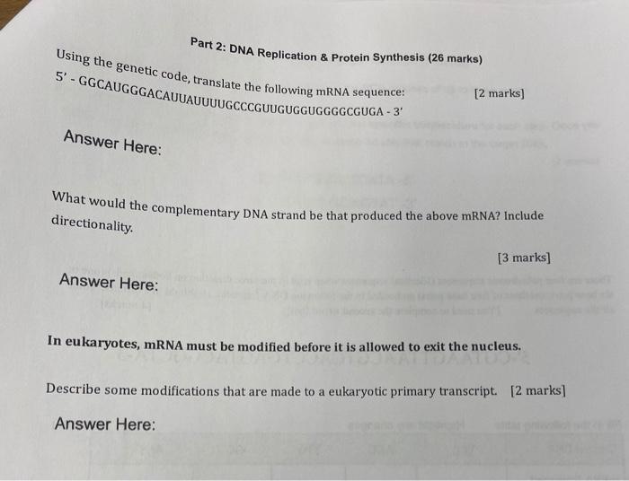 Part 2 Dna Replication Protein Synthesis 26 Marks Using The Genetic Code Translate The Following Mrna Sequence 5 1