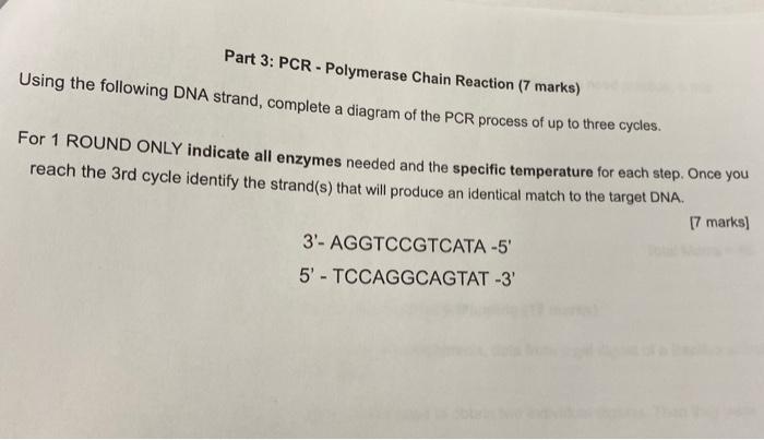 Part 3 Pcr Polymerase Chain Reaction 7 Marks Using The Following Dna Strand Complete A Diagram Of The Pcr Process 1