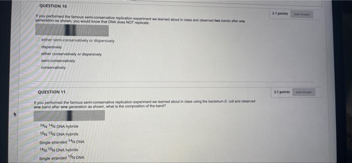 Question 10 2 1 Points You Performed The Famous Semi Conservative Replication Experiment We Learned About In Class And O 1