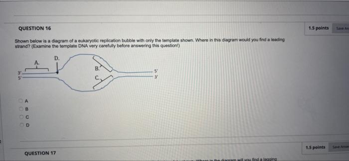 Question 10 2 1 Points You Performed The Famous Semi Conservative Replication Experiment We Learned About In Class And O 2
