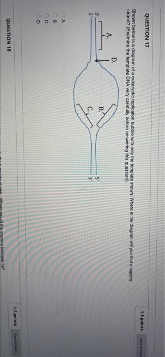 Question 10 2 1 Points You Performed The Famous Semi Conservative Replication Experiment We Learned About In Class And O 3