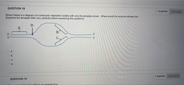 Question 10 2 1 Points You Performed The Famous Semi Conservative Replication Experiment We Learned About In Class And O 4
