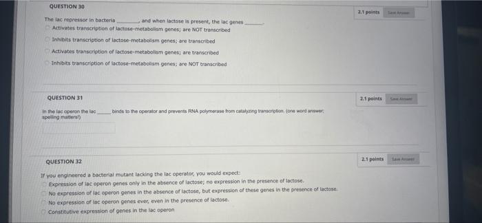 Question 19 15 Points Conversion Of G To Tin Onas An Example Of Transversion Pyridine Dimer Transition Tautomenzation 2 4