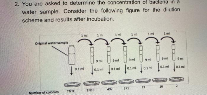 2 You Are Asked To Determine The Concentration Of Bacteria In A Water Sample Consider The Following Figure For The Dil 1