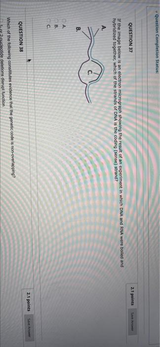 Question Completion Status Www 2 1 Points Question 37 If The Image Below Is An Electron Micrograph Showing The Result O 1