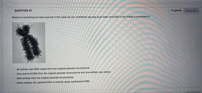 Question Completion Status Www 2 1 Points Question 37 If The Image Below Is An Electron Micrograph Showing The Result O 7