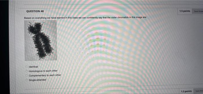 Question Completion Status Www 2 1 Points Question 37 If The Image Below Is An Electron Micrograph Showing The Result O 8