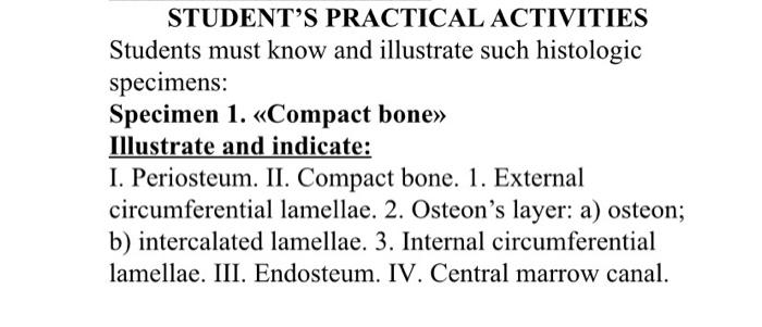 Student S Practical Activities Students Must Know And Illustrate Such Histologic Specimens Specimen 1 Compact Bone 1