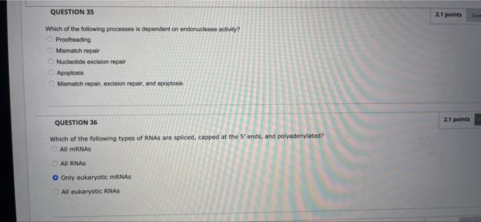 Question 49 13 Points Imagine A Single Cytosine Underwent Deamination On The Template Strand Of Dna Just Before Dna Poly 3