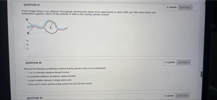 Question 49 13 Points Imagine A Single Cytosine Underwent Deamination On The Template Strand Of Dna Just Before Dna Poly 4