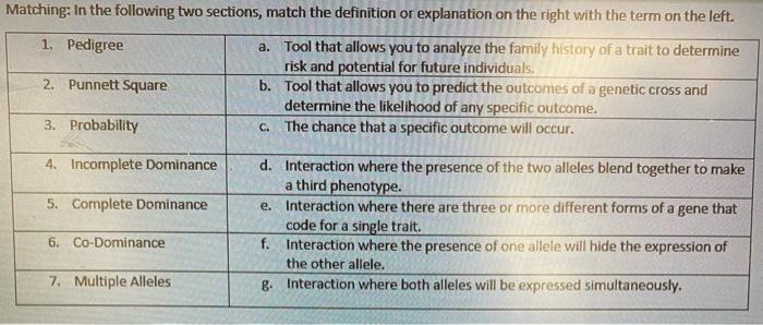 A Matching In The Following Two Sections Match The Definition Or Explanation On The Right With The Term On The Left 1