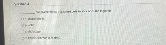Hey Can You Please Answer The Following Questions Listed Below Thank You 4