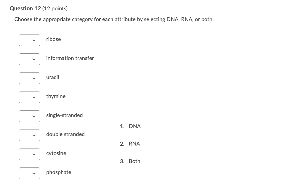 Question 12 12 Points Choose The Appropriate Category For Each Attribute By Selecting Dna Rna Or Both Ribose Inform 1