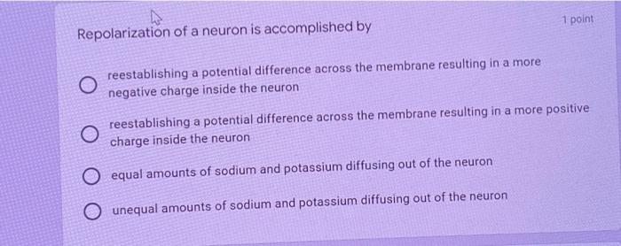 1 Point Repolarization Of A Neuron Is Accomplished By Reestablishing A Potential Difference Across The Membrane Resultin 1