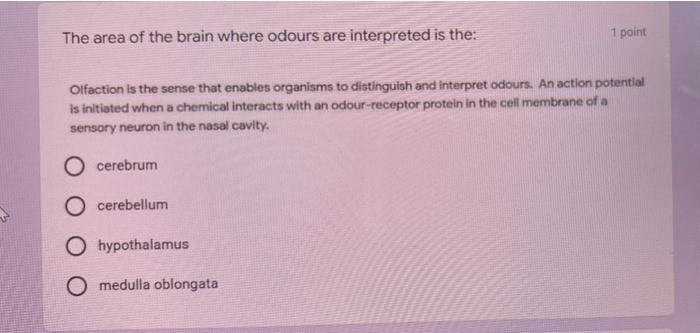 The Area Of The Brain Where Odours Are Interpreted Is The 1 Point Olfaction Is The Sense That Enables Organisms To Dist 1