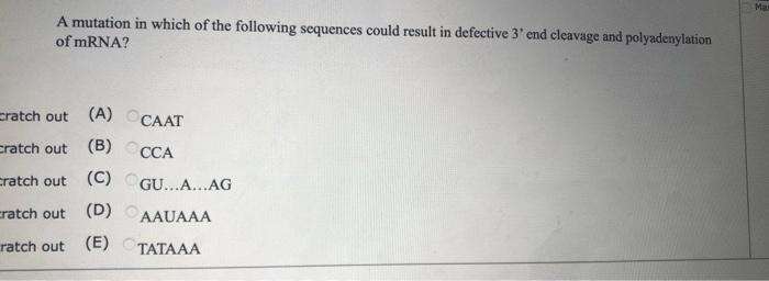 Ma A Mutation In Which Of The Following Sequences Could Result In Defective 3 End Cleavage And Polyadenylation Of Mrna 1