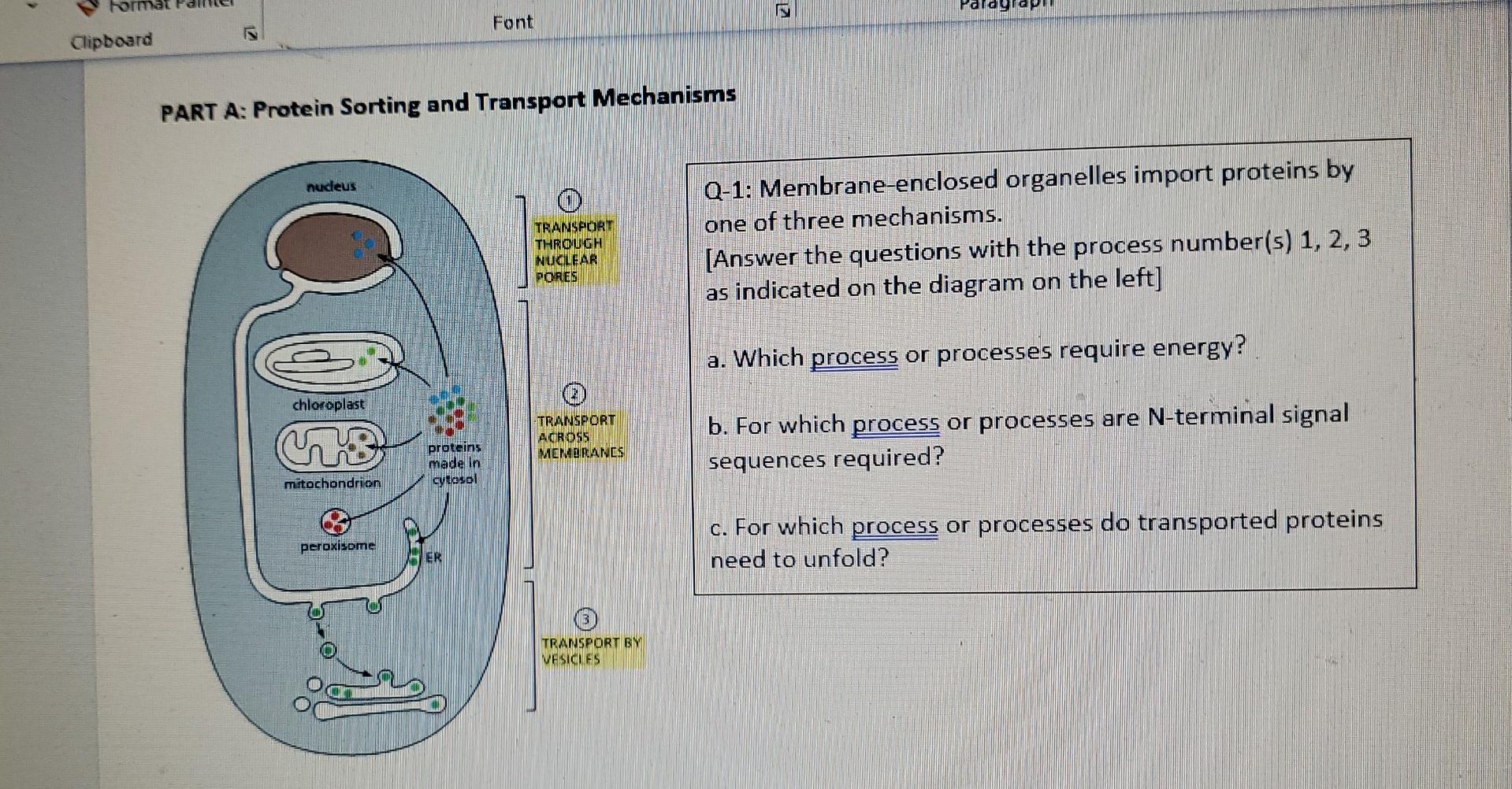 Font Clipboard Part A Protein Sorting And Transport Mechanisms Nudeus O Transport Through Nuclear Pores Q 1 Membrane E 1