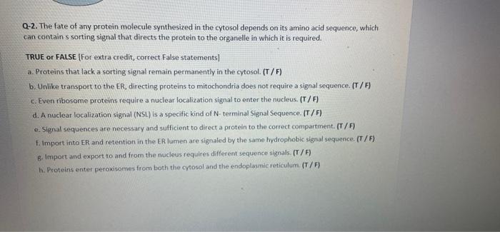 Q 2 The Fate Of Any Protein Molecule Synthesized In The Cytosol Depends On Its Amino Acid Sequence Which Can Contains 1