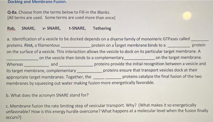 Docking And Membrane Fusion Q 8a Choose From The Terms Below To Fill In The Blanks All Terms Are Used Some Terms Are 1