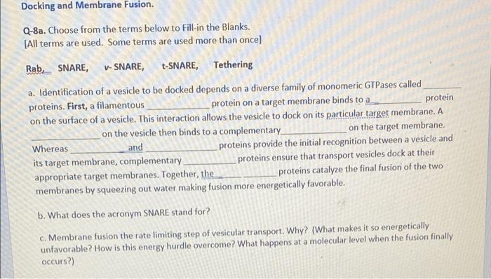 Docking And Membrane Fusion Q 8a Choose From The Terms Below To Fill In The Blanks All Terms Are Used Some Terms Ar 1