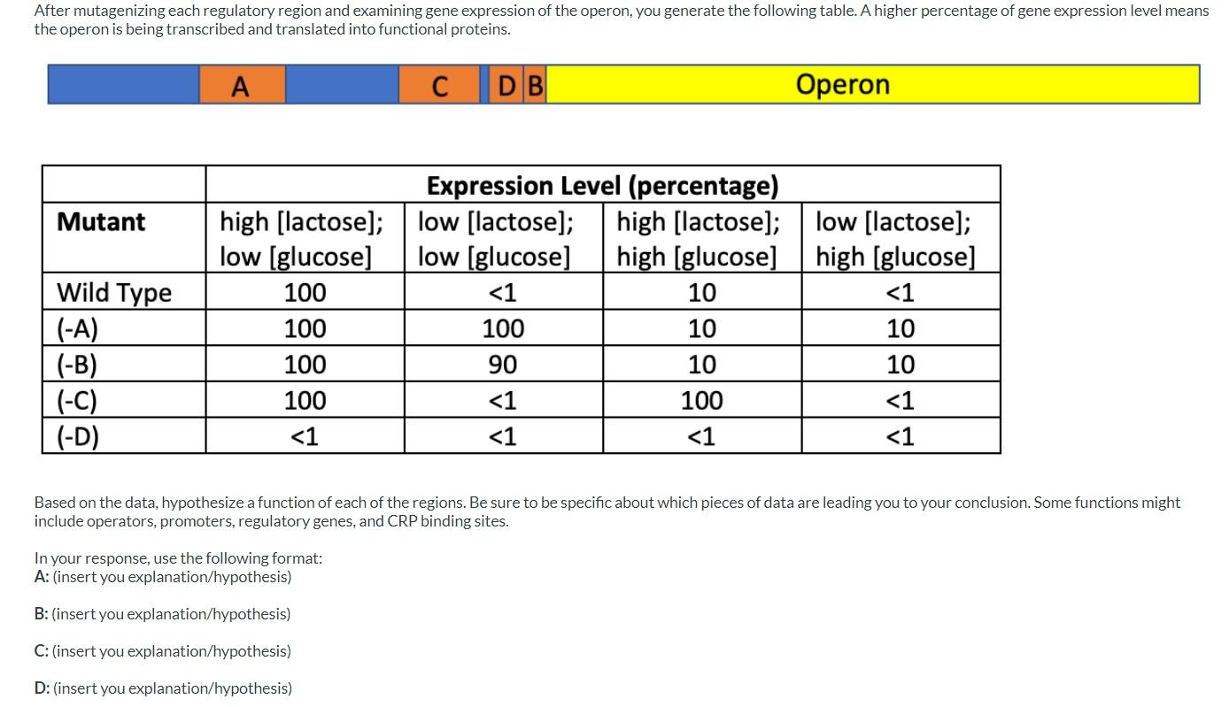 After Mutagenizing Each Regulatory Region And Examining Gene Expression Of The Operon You Generate The Following Table 1