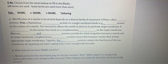 Q 8a Choose From The Terms Below To Fill In The Blanks All Terms Are Used Some Terms Are Used More Than Once A Rab S 1