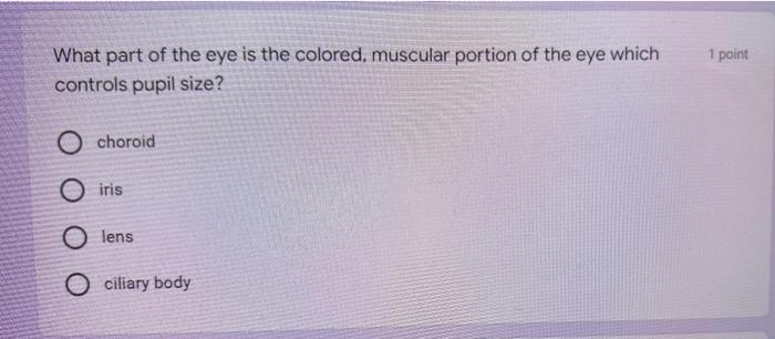 1 Point What Part Of The Eye Is The Colored Muscular Portion Of The Eye Which Controls Pupil Size Choroid O Iris O Len 1