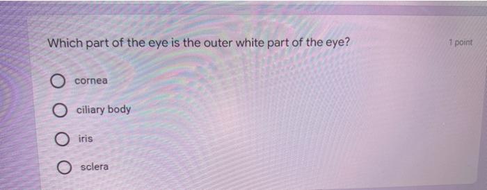 1 Point What Part Of The Eye Is The Colored Muscular Portion Of The Eye Which Controls Pupil Size Choroid O Iris O Len 2