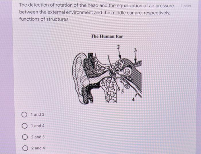 1 Point The Detection Of Rotation Of The Head And The Equalization Of Air Pressure Between The External Environment And 1