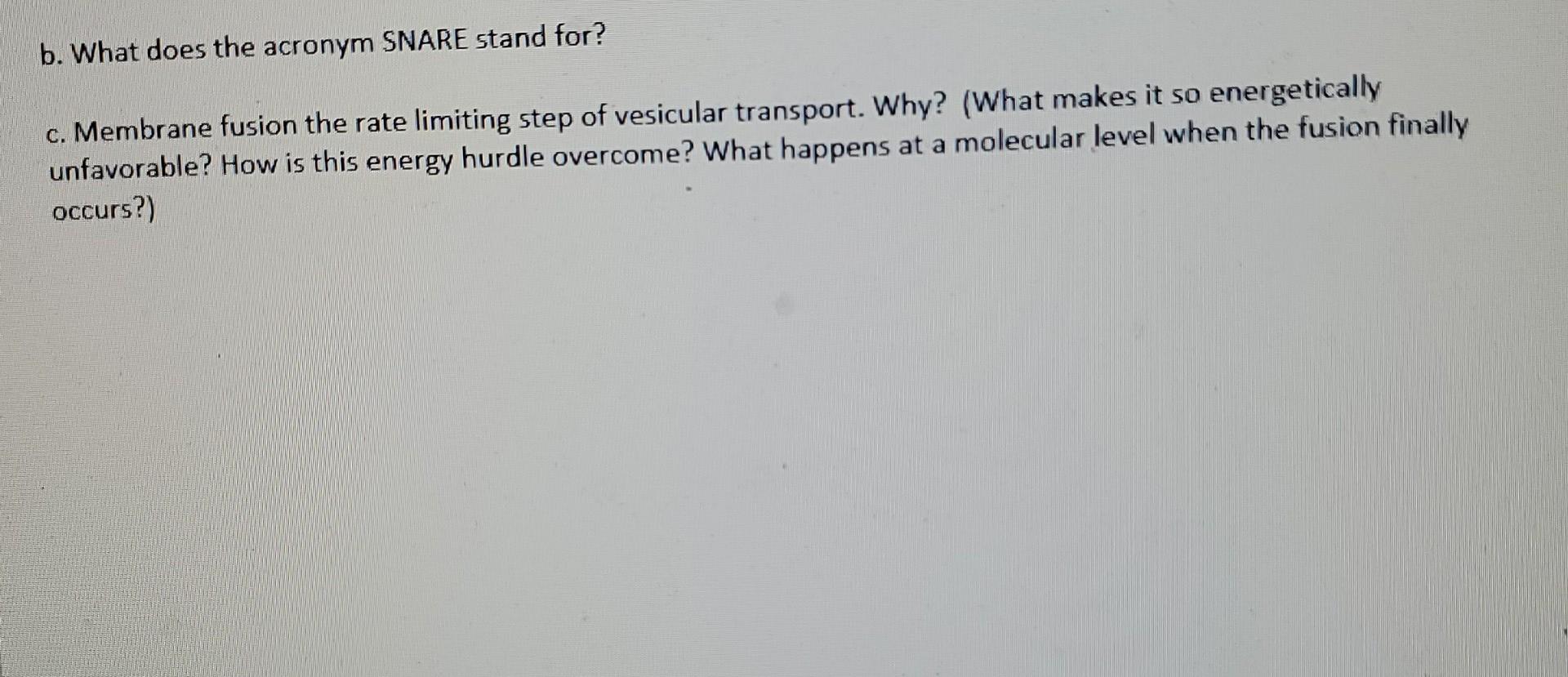 B What Does The Acronym Snare Stand For C Membrane Fusion The Rate Limiting Step Of Vesicular Transport Why What M 1