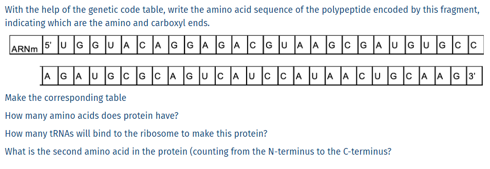 With The Help Of The Genetic Code Table Write The Amino Acid Sequence Of The Polypeptide Encoded By This Fragment Indi 1