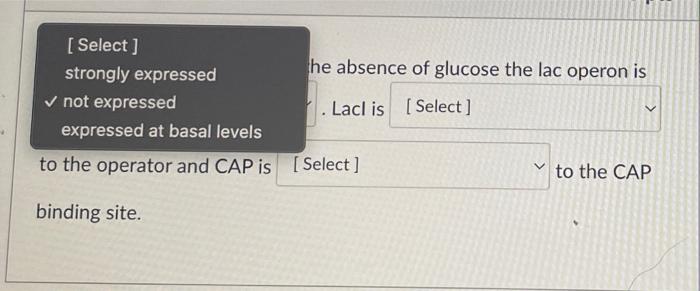 In The Absence Of Lactose And The Absence Of Glucose The Lac Operon Is Not Expressed Lacl Is Select V To The Operator 2