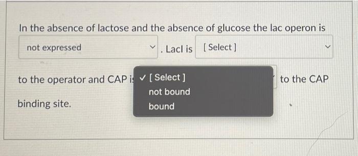 In The Absence Of Lactose And The Absence Of Glucose The Lac Operon Is Not Expressed Lacl Is Select V To The Operator 4