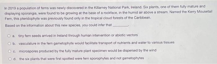 In 2019 A Population Of Ferns Was Newly Discovered In The Killarney National Park Ireland Six Plants One Of Them Full 1