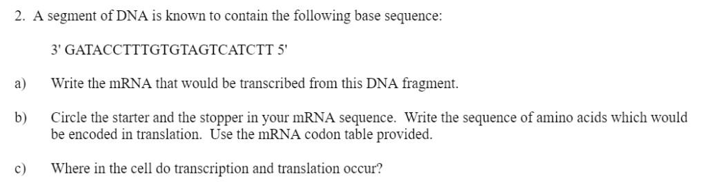 2 A Segment Of Dna Is Known To Contain The Following Base Sequence 3 Gatacctttgtgtagtcatctt 5 A Write The Mrna That 1