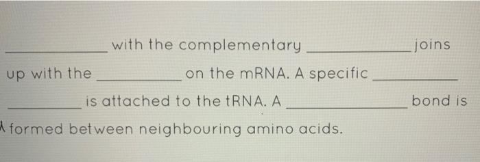 Joins With The Complementary On The Mrna A Specific Up With The Is Attached To The Trna A Bond Is Formed Between Neigh 1