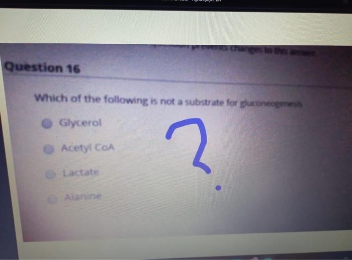 Question 16 Which Of The Following Is Not A Substrate For Puconeomes Glycerol Acetyl Coa O Lactate Alanine 0314 Wa0006 1