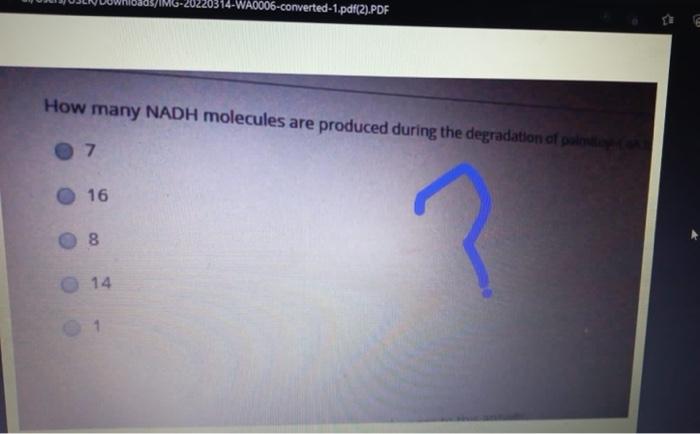 Question 16 Which Of The Following Is Not A Substrate For Puconeomes Glycerol Acetyl Coa O Lactate Alanine 0314 Wa0006 2