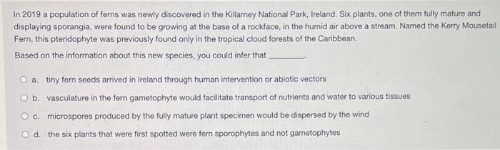 In 2019 A Population Of Ferns Was Newly Discovered In The Killarney National Park Ireland Six Plants One Of Them Full 1