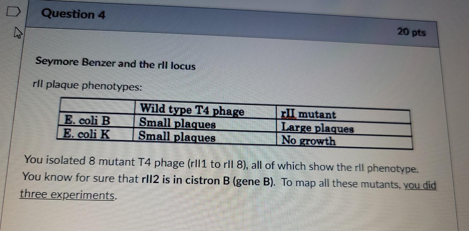 Question 4 20 Pts Seymore Benzer And The Rll Locus Rll Plaque Phenotypes Wild Type T4 Phage E Coli B Small Plaques E 1