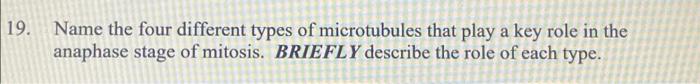 19 Name The Four Different Types Of Microtubules That Play A Key Role In The Anaphase Stage Of Mitosis Briefly Describ 1