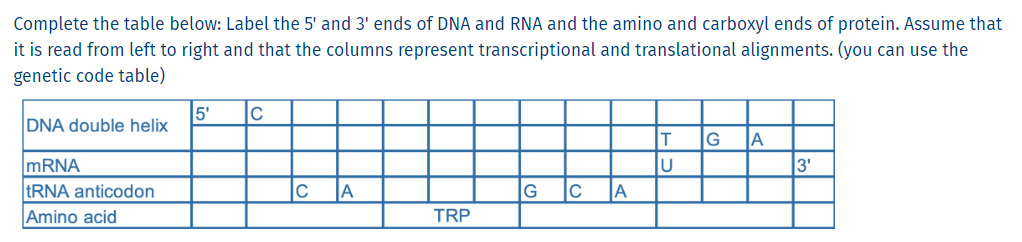 Complete The Table Below Label The 5 And 3 Ends Of Dna And Rna And The Amino And Carboxyl Ends Of Protein Assume Tha 1