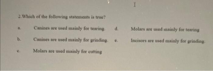 I 2 Which Of The Following Statements Is True Canines Are Used Mainly For Tearing D Molars Are Used Mainly For Teari 1