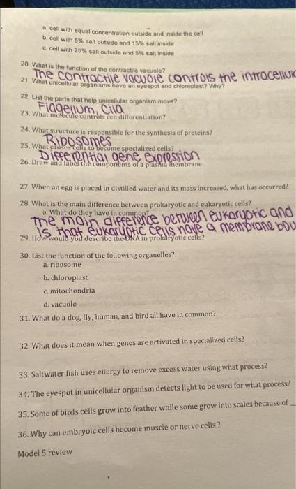 A Cell With Equal Concentration Outside And Inside The Cell B Cell With 5 Salt Outside And 15 Salt Inside C Cell With 1