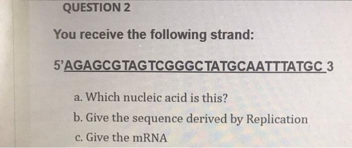 Question 2 You Receive The Following Strand 5 Agagcgtag Tcgggctatgcaatttatgc 3 A Which Nucleic Acid Is This B Give T 1