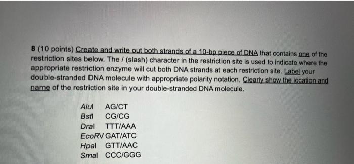 Now Based On The 10 Bp Dna Molecule You Created Use The Agarose Gel Illustration Below To Draw The Results Of Electrop 4