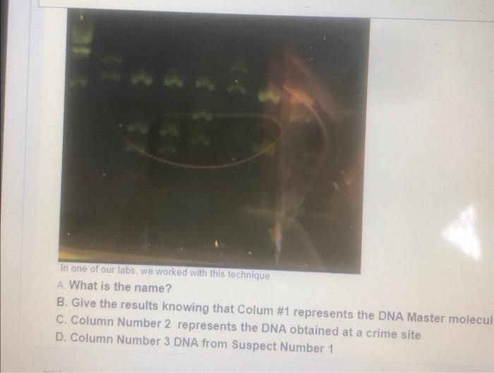 In One Of Our Labs We Worked With This Technique A What Is The Name B Give The Results Knowing That Colum 1 Represen 1