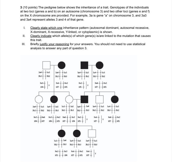 3 10 Points The Pedigree Below Shows The Inheritance Of A Trait Genotypes Of The Individuals At Two Loci Genes A And 1