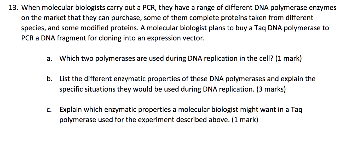 13 When Molecular Biologists Carry Out A Pcr They Have A Range Of Different Dna Polymerase Enzymes On The Market That 1